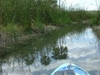 En canoe sur un petit cours d'eau pres du site de Coba