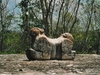 Le jaguar de Uxmal